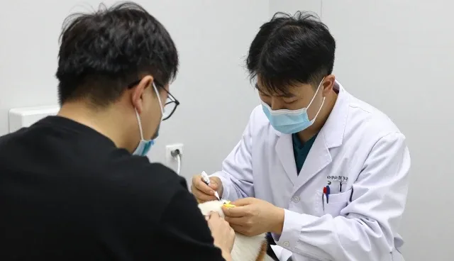 宠物体检套餐在医疗中的实际应用分析